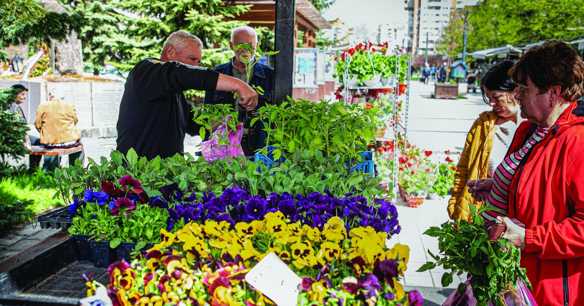 Kertészkedésre fel!
